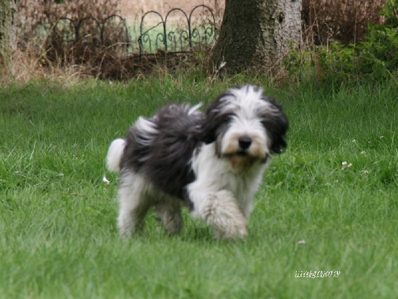 Le petit boo z Mazurow